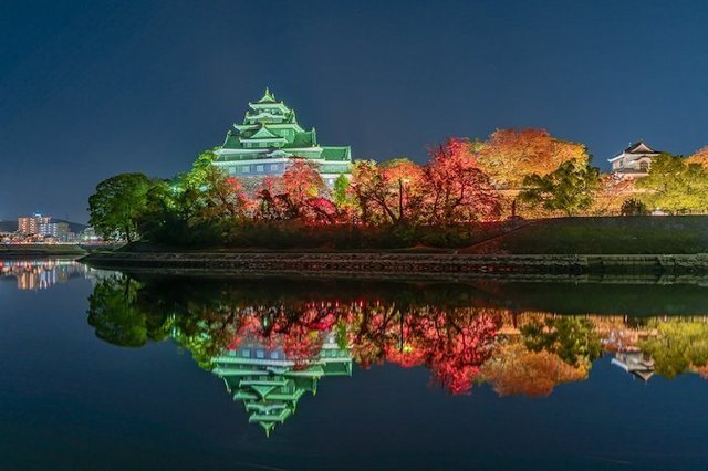 岡山芸術交流2019 の夜 岡山城.jpg